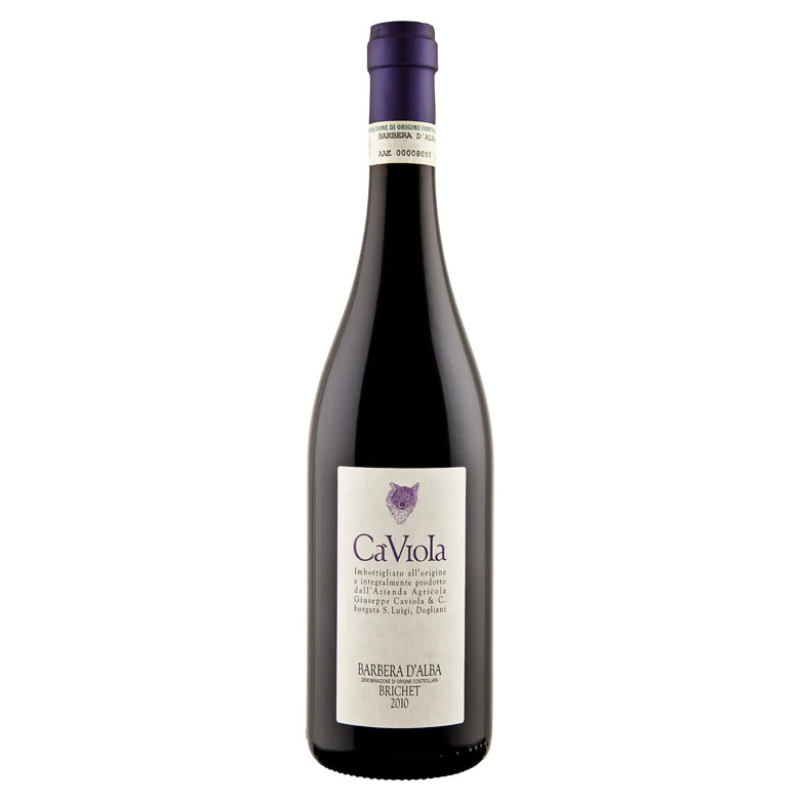 Barbera d'alba   | Cà Viola